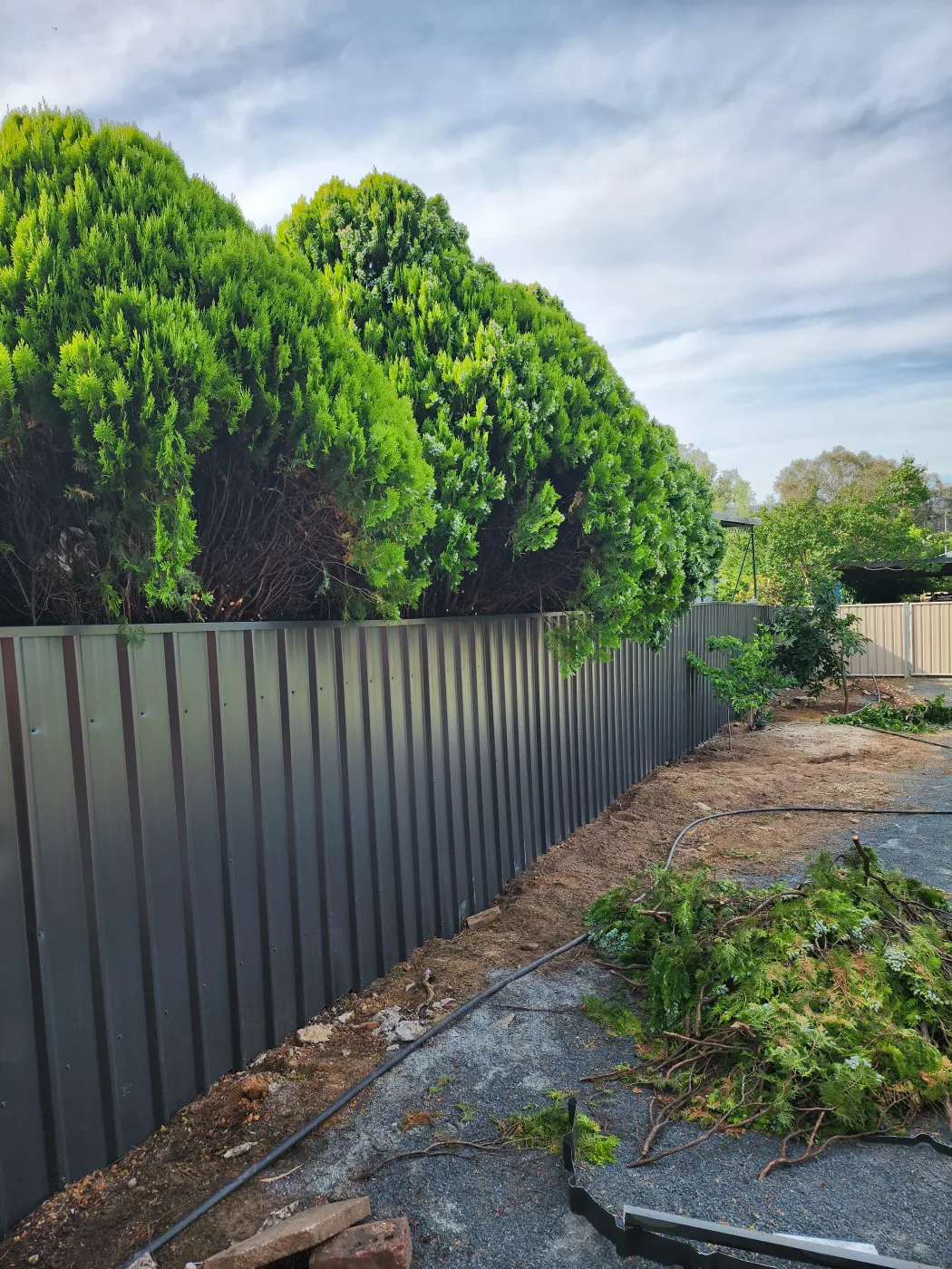 Colorbond fencing installation